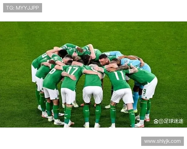 波兰与芬兰友谊赛精彩对决球迷期待激烈较量与精彩瞬间