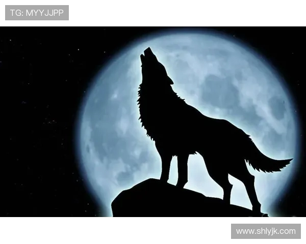 英雄联盟深度解析：BLG战队意识与团队协作的成功之道